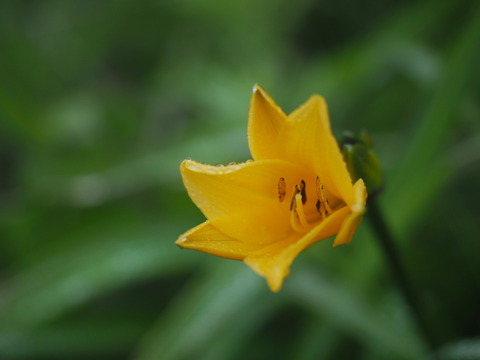 ezokanzo18061705