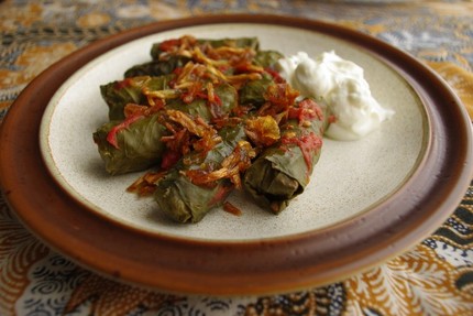 2009.07.09 yaplakia me fakes ke tahini