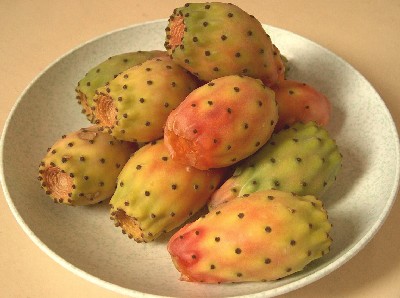 fragosika2