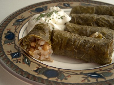 yaplakia