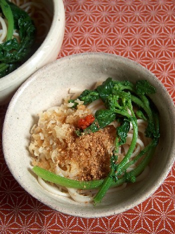 2009.03.11 udon
