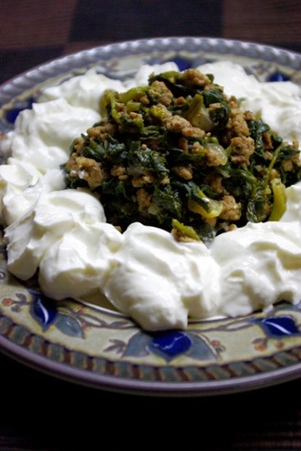 2011.02.03 spinach & minced beef stew