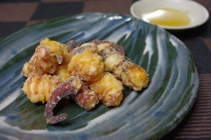 2010.01.21 octopus karaage