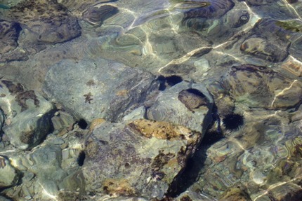 2011.08.20b