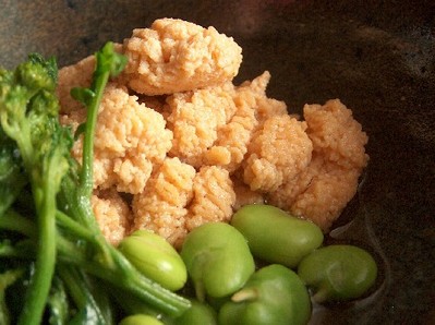 2009.03.21 mackerel eggs