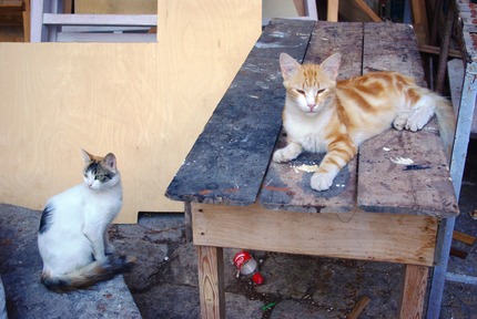 2014.08.24 symi2