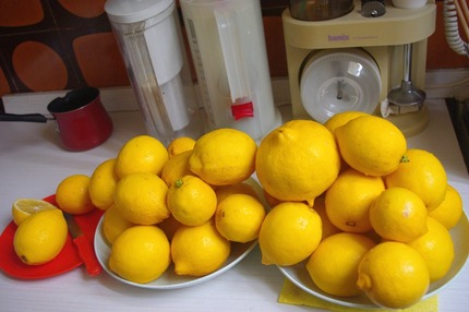 2013.04.02 lemons