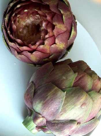 2009.01.27 artichokes