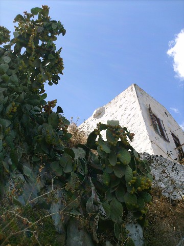 fragosika