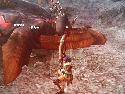 魚介決戦♪ (1)