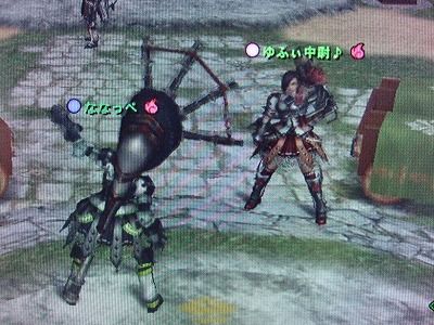 ちょwおしりwww
