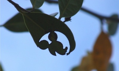 20120408_2021156