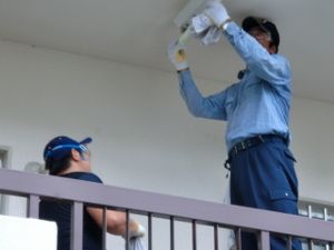 照明灯のクモ