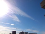 d893558c.jpg