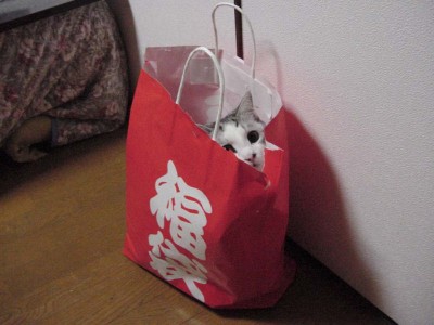 当たりゲット!