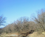 01276448.jpg