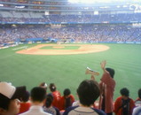 09df2237.jpg