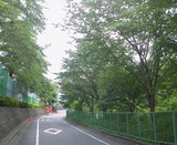 0a951548.jpg