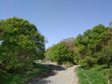 148d984c.jpg