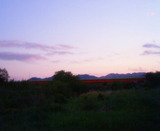 2647556b.jpg