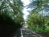 IMG_20180815_085510