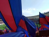 35470306.jpg