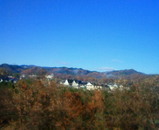 49d05f6d.jpg