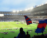 77376920.jpg
