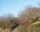 86c8e421.jpg