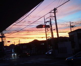 8c0176c7.jpg