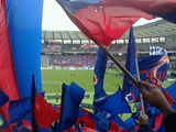 8cd00305.jpg
