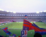 98f17d83.jpg