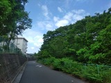 c2707836.jpg