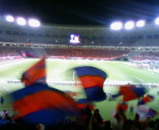 d206fcfe.jpg