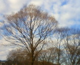 d77c02b6.jpg