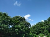 IMG_20180619_085355