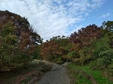 IMG_20181114_085348