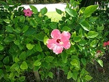 IMG_20180908_143548