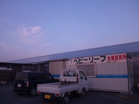 DVC00048