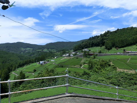 CIMG0259