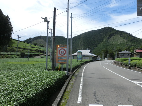 CIMG0254