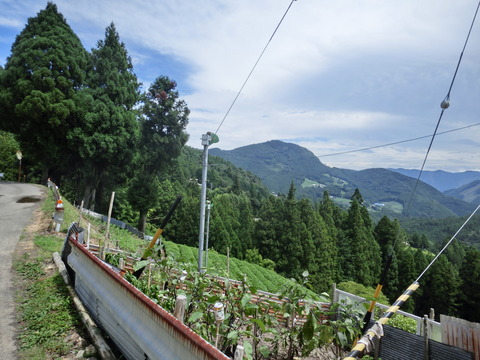 CIMG0294