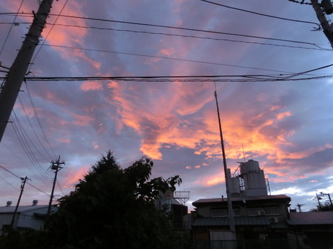 CIMG0162