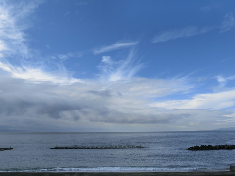 CIMG0206