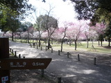 奈良公園