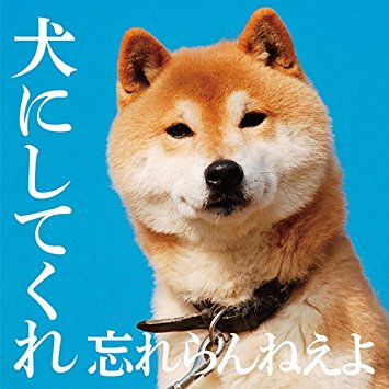 犬飼うのって コスパ良すぎるだろ 2ちゃんねるの記事ってこんななの