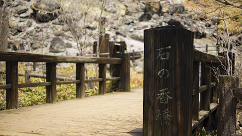 編集済みDSC05152