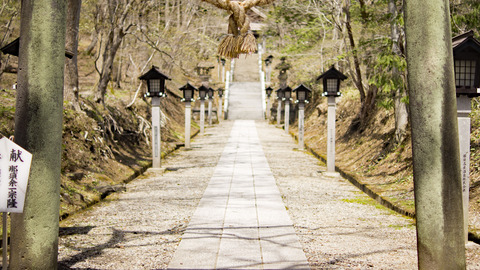 編集済みDSC05145