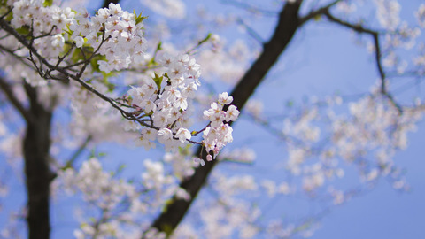 編集済み_DSC05135