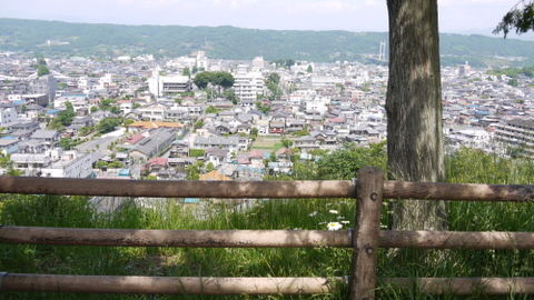 P1090005